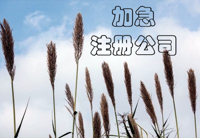 上海公司注冊(cè)都有哪些步驟？